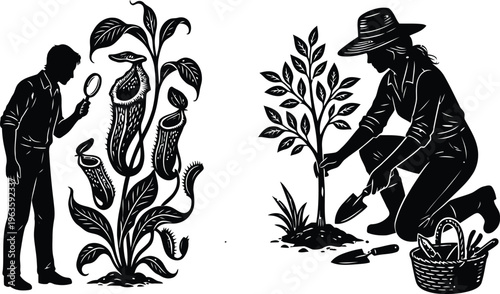 Business professional examining large mysterious seed with magnifying glass in office garden