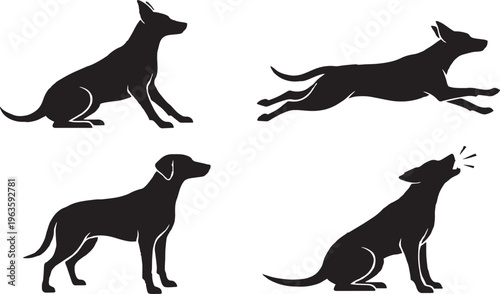 : Teach Your Pet Basic Obedience and Good Behavior"