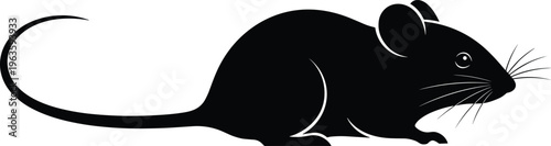 Black silhouette vector illustration of rat in resting position with long tail, rounded ears, whiskers, and smooth curves for animal, wildlife, and design projects
