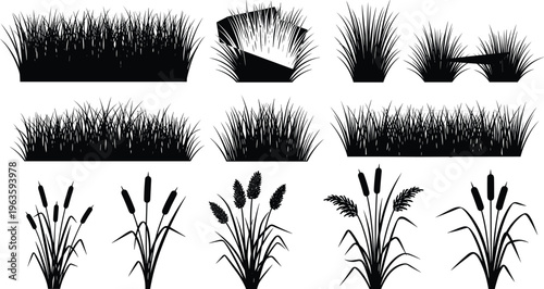 Silhouettes of Various Grasses and Cattails in Black and White Vector Graphics Keywords: grass, reeds, cattails, bulrushes