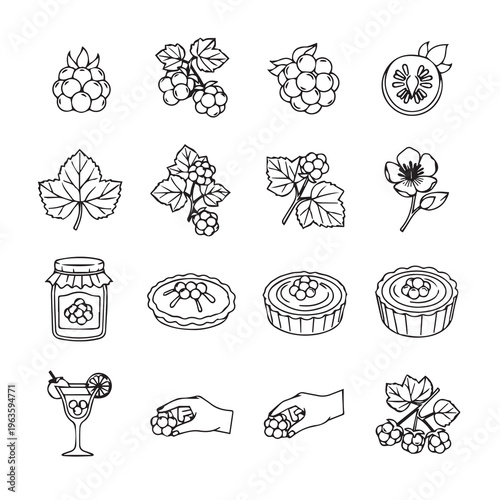 Cloudberry Icons: Fruit Leaves Jars Tarts Drinks and Hands. Vector Line Art