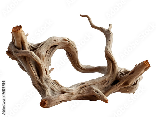 Weathered wood in organic form isolated on transparent background