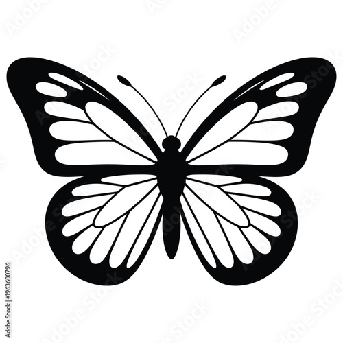 A striking black and white image of a butterfly with ornate wing patterns silhouette