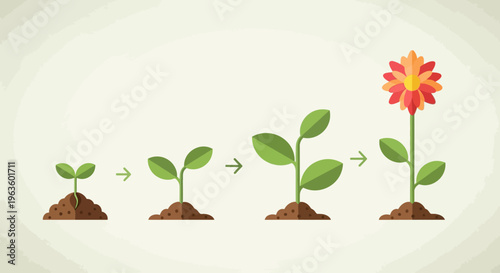 A clear flat design illustration depicting the sequential stages of plant growth, from seedling to a fully bloomed flower. This modern vector graphic is perfect for educational content or concepts of 