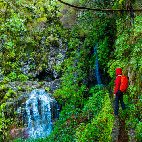 Travelers explore the beautiful levada trails in Madeira, experiencing the breathtaking views of a stunning waterfall surrounded by vibrant ferns and natural beauty