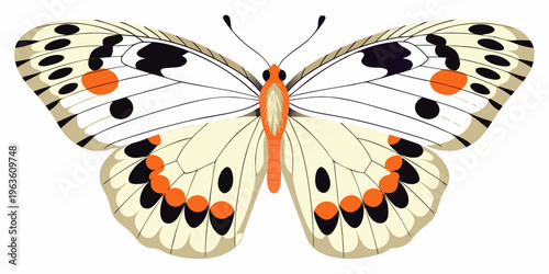 A vibrant illustration of a white butterfly with orange and black markings