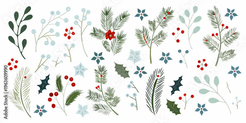 Festive botanical illustration featuring winter foliage and berry branches