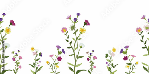 A colorful arrangement of wildflowers and delicate green stems