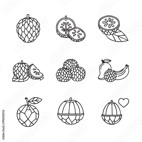 Custard Fruit Collection Line Drawing Icons Tropical Produce Variety Simple Vector Graphics Healthy Food Concept