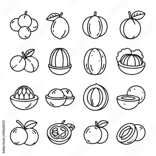 Exotic Tropical Fruits Line Art IconsWhole and Halved Varieties for Healthy Eating Concepts