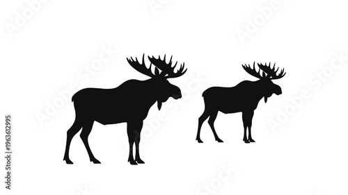 Two majestic moose stand side by side in stark contrast silhouette