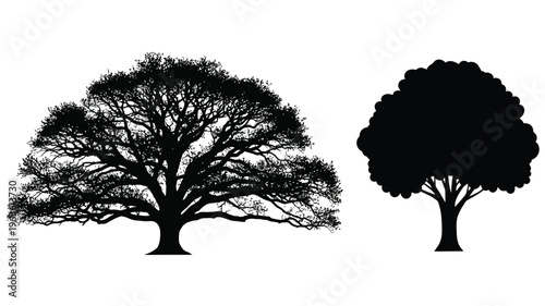 Two trees depicted in stark contrast a dramatic black silhouette