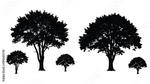 Black trees against a white background a striking silhouette