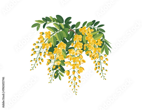 Golden Shower Cassia Fistula Flower Indian Festival Floral Concept – Vishu Festival, Tamil New Year, Baisakhi