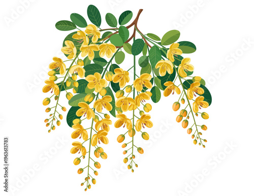 Golden Shower Cassia Fistula Flower Indian Festival Floral Concept – Vishu Festival, Tamil New Year, Baisakhi
