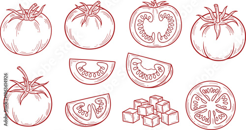 Set of tomatoes, whole, sliced and diced, in sketch style.