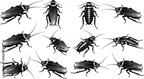 Detailed vector illustration of twelve cockroach silhouettes arranged in grid pattern, showing insect anatomy with segmented bodies, antennae, and spiny legs for biology and design themes