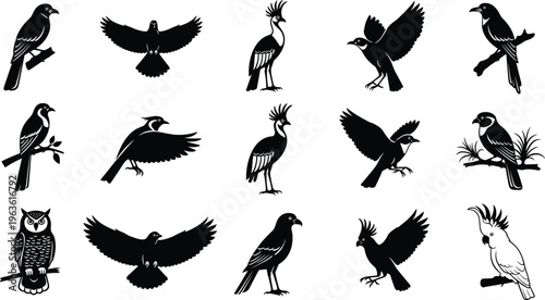Vector illustration of twelve bird silhouettes arranged in grid pattern, showing perched, flying, and standing poses with crests, tufts, and stylized species variations