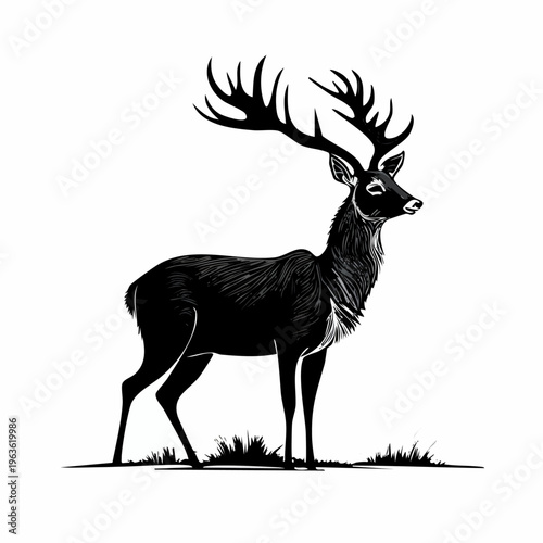 Majestic Deer with Large Antlers Standing.