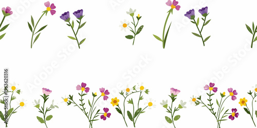 Delicate wildflower stems and blossoms arranged on a white background