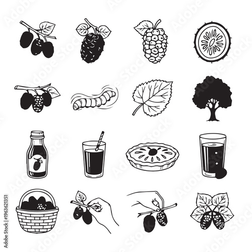 Mulberry Tree Harvest and Products Hand-Drawn Icons for Food and Agriculture