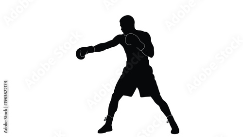 Dynamic boxing pose captured in a striking black silhouette