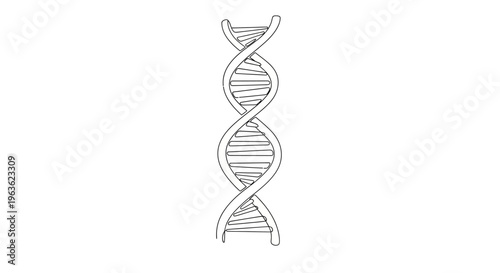 DNA Double Helix Illustration