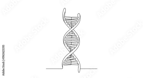 DNA Double Helix Line Art Illustration