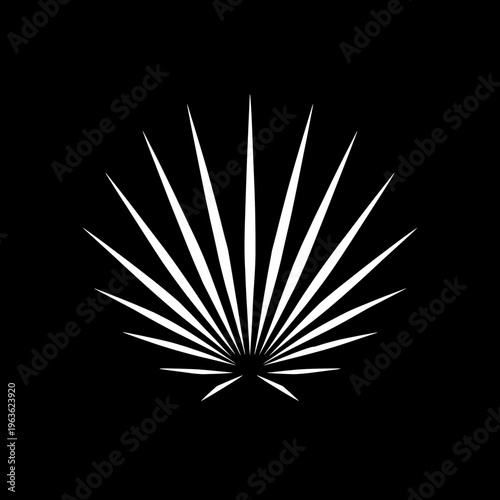 Minimalist white stylized palm leaf vector on black background, tropical frond graphic design element, modern fan symbol