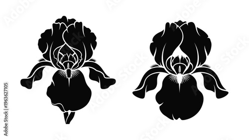 Two black iris flowers presented as a striking graphic silhouette