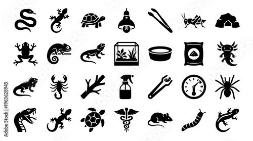 Collection of black and white icons representing reptiles amphibians insects and pet care supplies for terrariums and aquariums