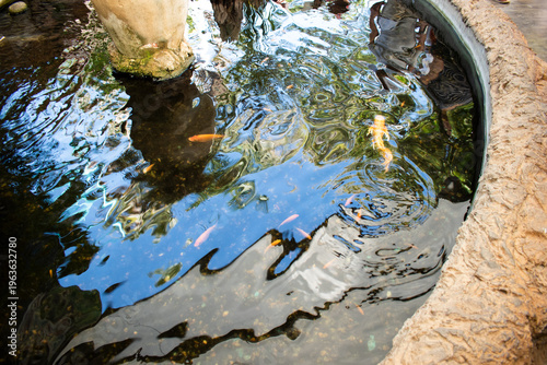 Fotografía Estanque