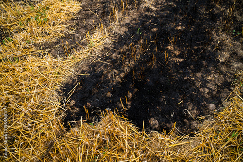 Tableau sur toile Agricultural field after harvest, showing a circular patch of burnt straw stubbl