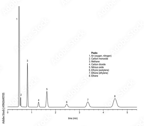 Chromatogram of permanent gases and nitrous oxide