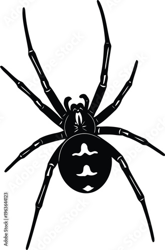 Black widow spider illustration
