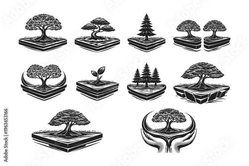 Diverse styles of bonsai trees displayed in artistic planters