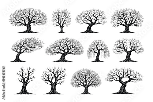 Diverse artistic depictions of bare trees in various styles and forms