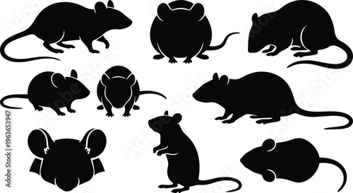 Black rat silhouettes in nine poses showing side front and rear views vector art