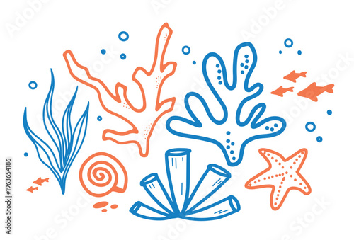 Modern marine illustration featuring coral, seaweed, starfish, shell and underwater details in a clean coastal line art style
