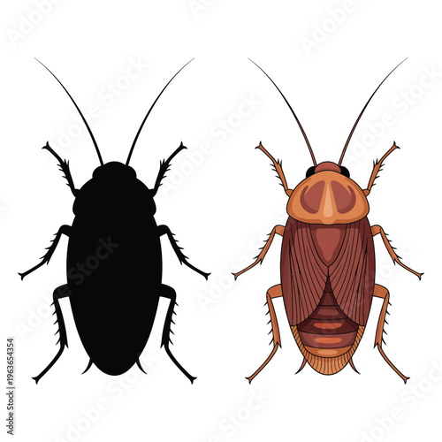 Black cockroach isolated on white background vector illustration of a creepy crawling insect pest