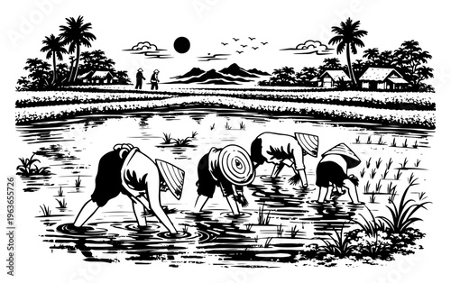 Traditional asian farmers planting rice in a rural paddy field landscape with palm trees