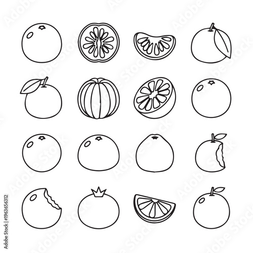 Citrus Fruit Icons: Whole Halved Sliced and Bitten Oranges & Mandarins Line Art Style