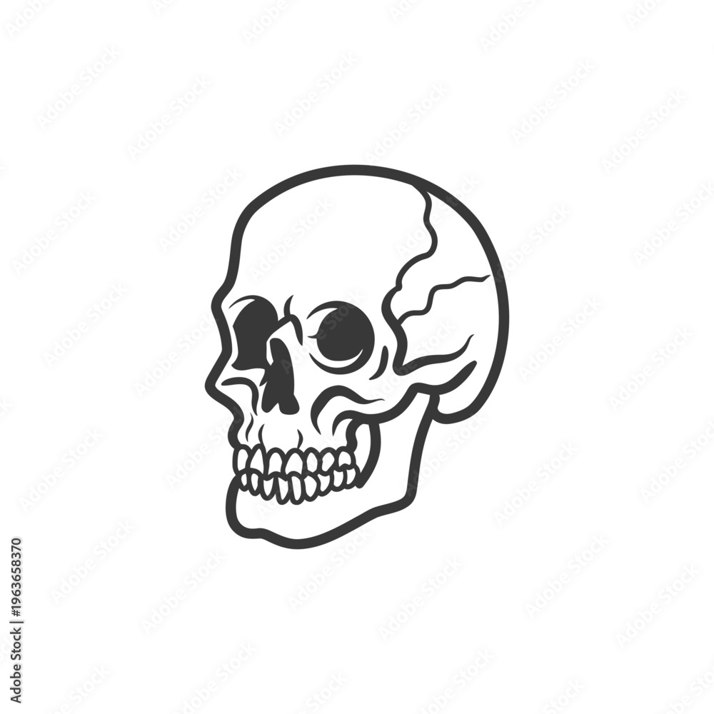 Fototapeta premium An outlined monochrome illustration showing the side profile of a human skull