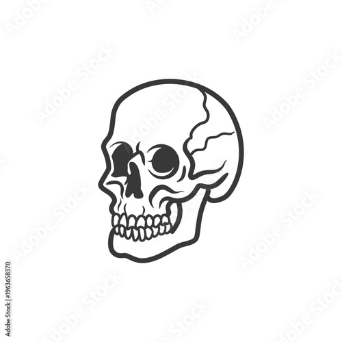 An outlined monochrome illustration showing the side profile of a human skull
