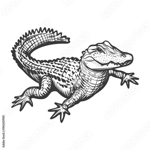A detailed hand drawn illustration of a crawling reptile animal