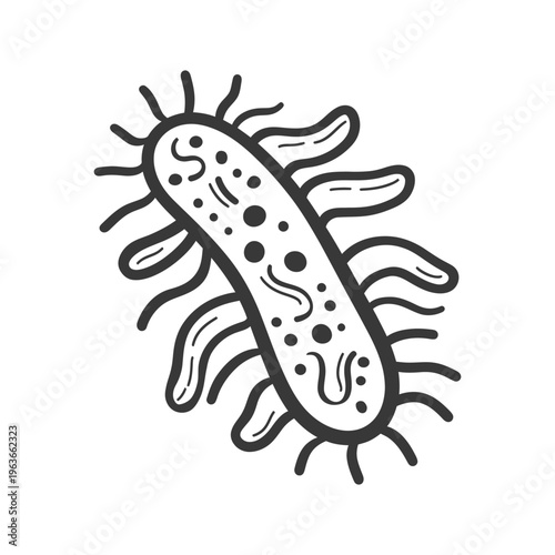 A simplified drawing depicting a microbe bacteria cell