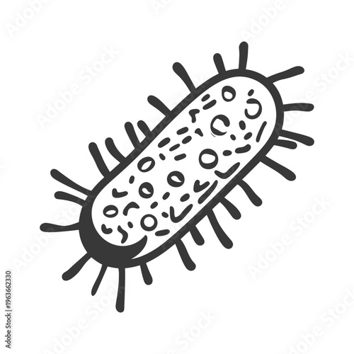 An illustrative drawing of a single bacterial cell on white background