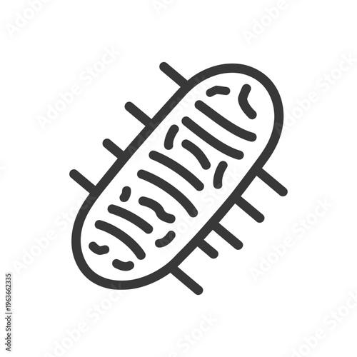 An isolated outline illustration depicting an internal cellular organelle structure
