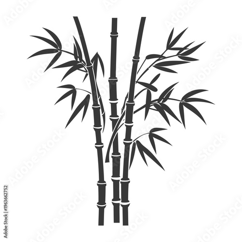 An illustration depicting several stalks of bamboo and their leaves