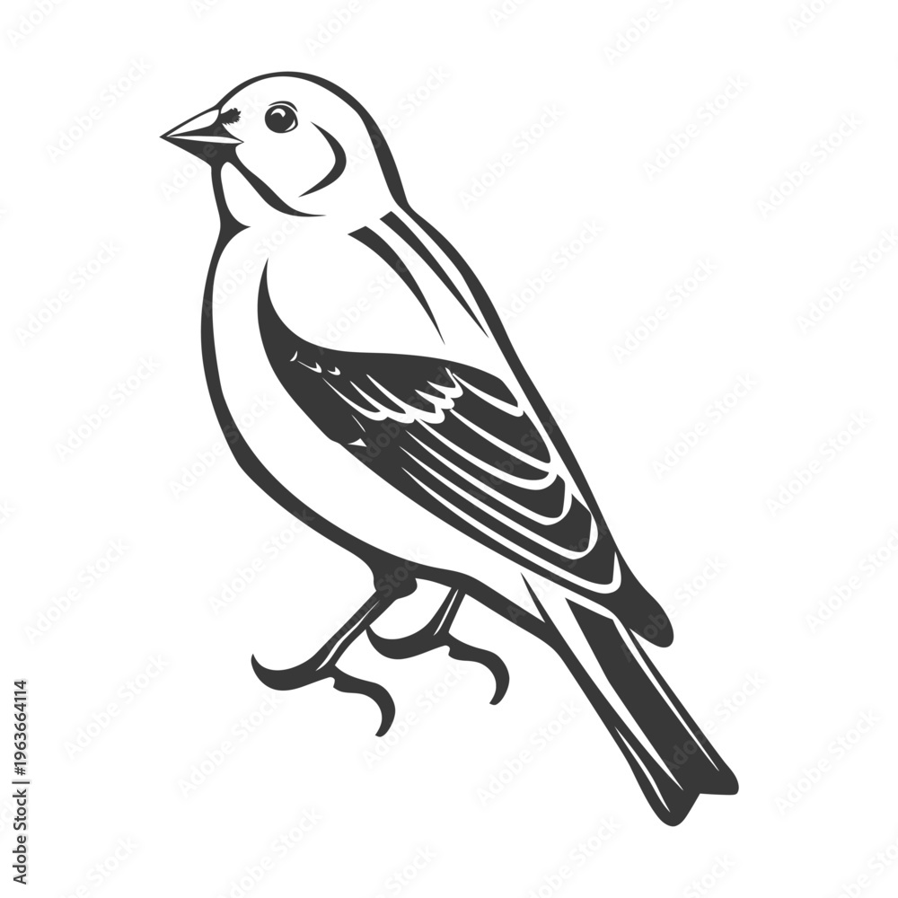 Fototapeta premium A simple detailed illustration of a small bird against white background